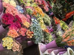 -宝鸡东道花鸟鱼虫市场(吉利花园商场店)