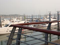 -巧克力渔家.小船海鲜胶东菜(万平口店)