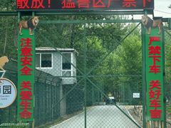 -秦皇岛野生动物园