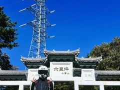 -六里坪国家森林公园