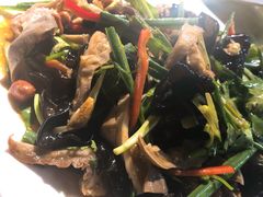 -鸽王世家(东华东路店)