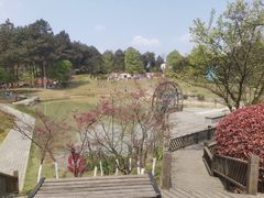 -铁山坪森林公园