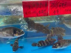 -明本海鲜大排档·鱼生海鲜烧烤宵夜(陈家祠店)