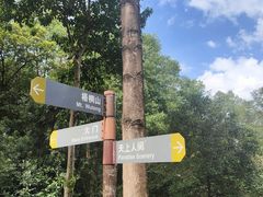-深圳仙湖植物园