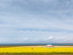 -青海湖国家重点风景名胜区