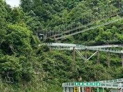 -长沙黑麋峰国家森林公园