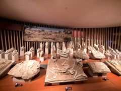 -上海自然博物馆