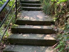 -南山植物园