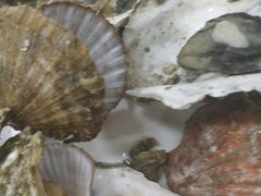 -公平面馆(总店)