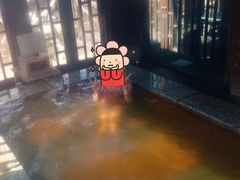 -裕龙汤泉