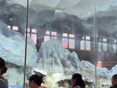 -帝企鹅自助餐厅•儿童岛•真企鹅(长隆企鹅酒店)