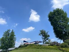 -成飞公园