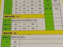 -圣宠动物医院·犬猫专科·影像中心·外科中心