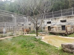 -黔灵山公园-南门售票处