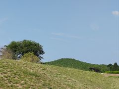 -秦始皇帝陵博物院-丽山园