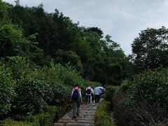 -桃花岭景区