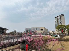 -宁波儿童公园(鄞州区)