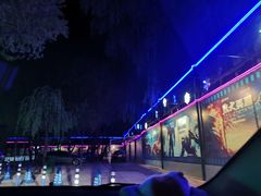 -枫花园汽车电影院(朝阳公园店)