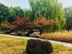 景点-金鸡湖景区
