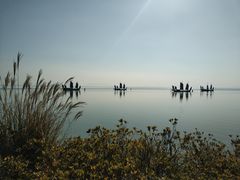 -贡湖湾湿地公园