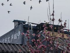 -恭王府博物馆