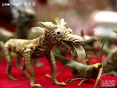 -南汇桃花村