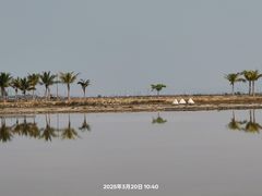 -莺歌海盐场