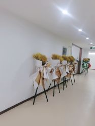 -成都西区医院整形美容