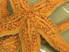 -焰江山海鲜牛排烤肉自助(锦华万达二星店)