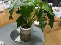 -四季餐厅·新津菜(环湖中路店)