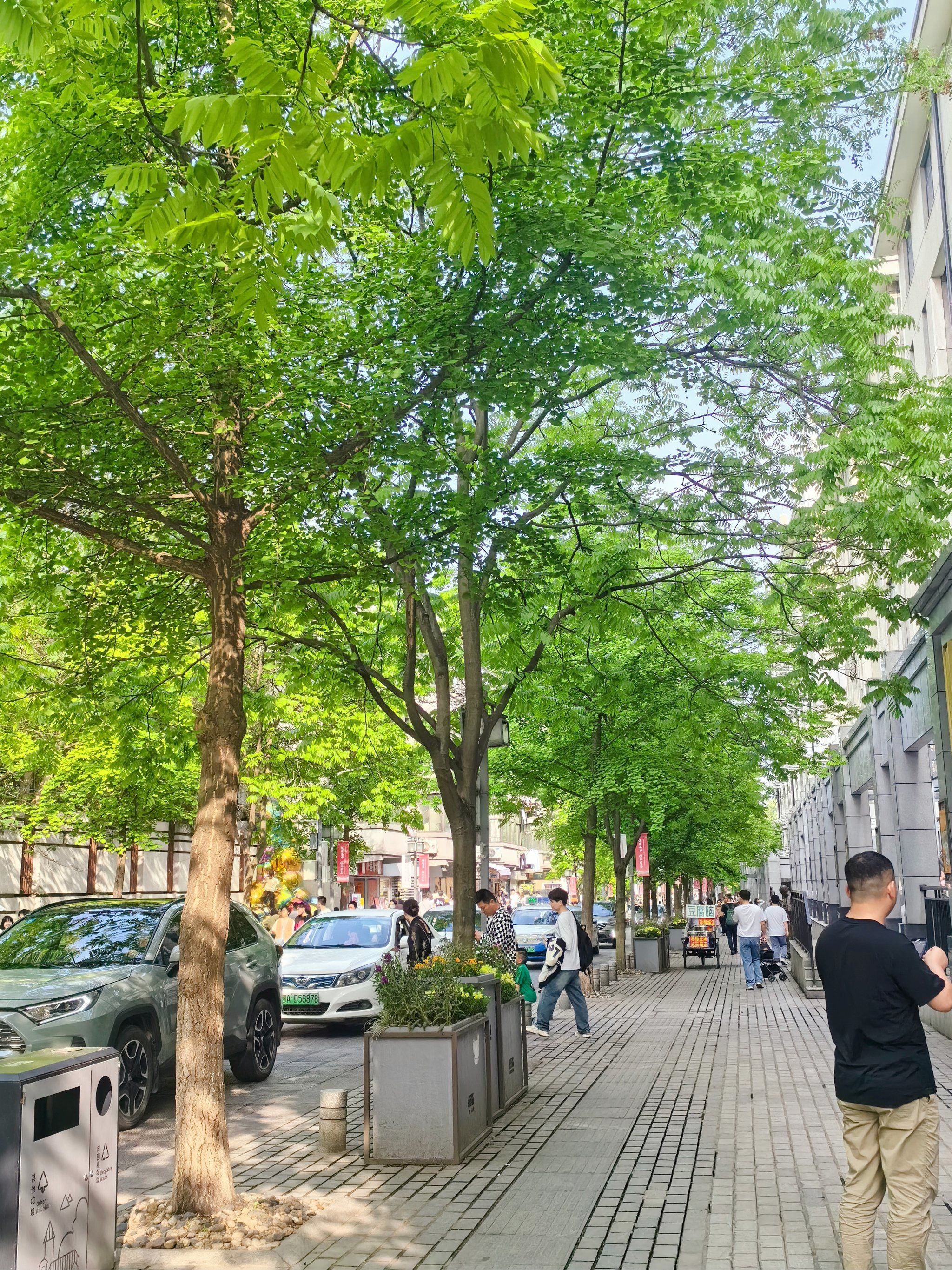 路边风景~春色藏不住💖