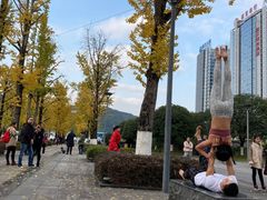 -百林公园-两江幸福广场