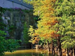 -广州市帽峰山景区