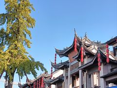 -蔡阿水羊肉店