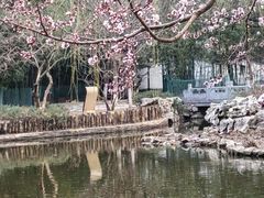 -宣武艺园