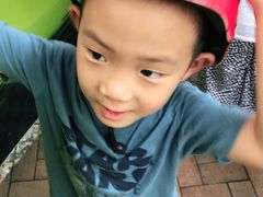 -圣淘沙天际线斜坡滑车