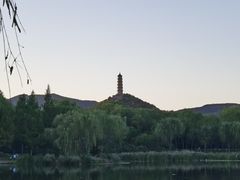 -北坞公园