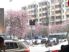 -西环肥仔螺蛳粉(总店)