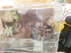 -Rabbit Cafe私房西餐甜点咖啡(栖霞路店)