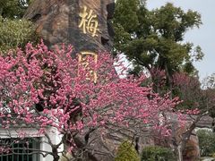 -无锡梅园公园