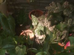 -泰古龙抓龙筋·spa按摩(静安店)