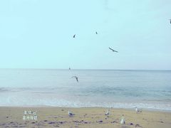 -海云台海滩
