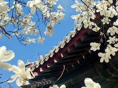 -红螺寺