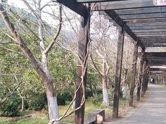 -九龙潭景区