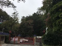 -广州中山纪念堂