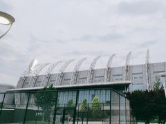 -泰达足球场