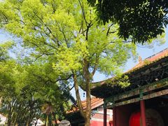 -南岳衡山风景名胜区-南岳大庙