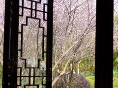 -游子山休闲旅游区