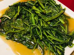 空心菜-Daddy Nimman Chiang Mai
