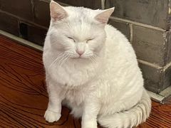 -张记牛肉面馆(天津路店)